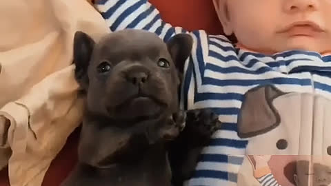 Two babies sleeping