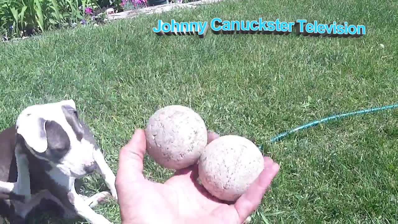 HOW TO SQUEEZE YOUR OWN BALLS