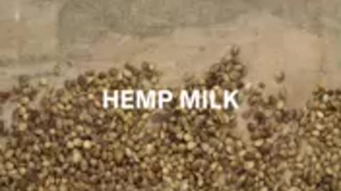 Food Scientist Breaks Down Every Plant-Based Milk