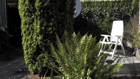 Pepijn - Back Garden | Test Video Camcorder Footage Panasonic HDC-SD20 (2009)
