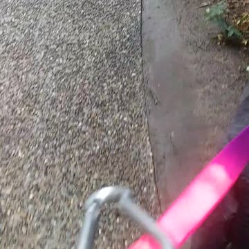 17.10.2024 Out of Control Kuranda