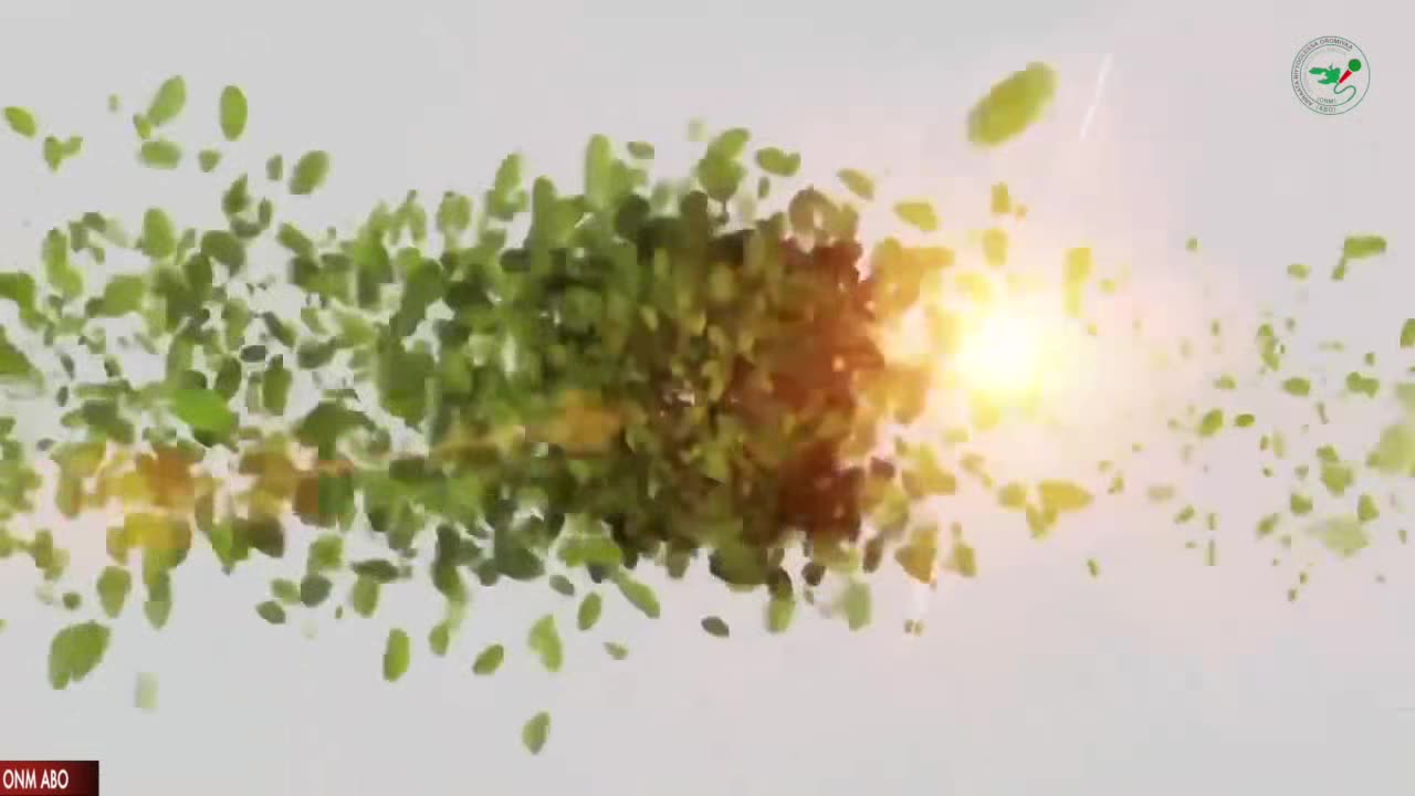 Oduu Ganama ONM-ABO Fulbaana 9-2024 itti dhiyaadhaa!