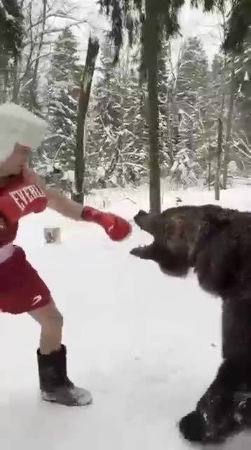 Russian boxer Igor spars with 5-year-old bear, Tom, in Moscow video