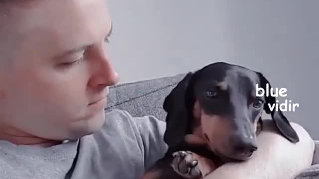 Your dog's reaction when you kiss her
