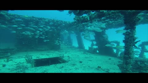 Wreck ship.Sunken.In the ocean