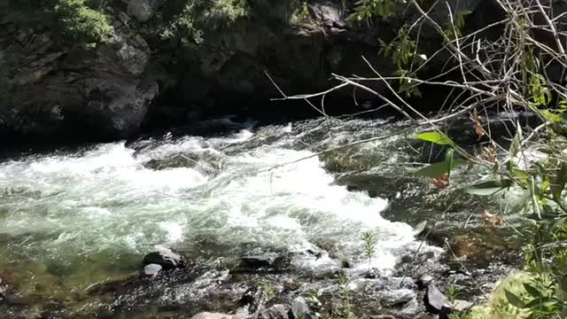 Fly Fishing In Golden Colorado Part 5