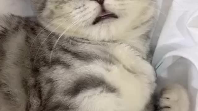 Sound on๐