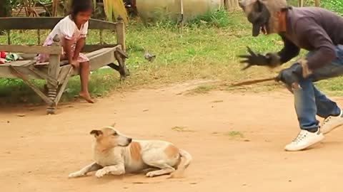 Dog Vs tiger