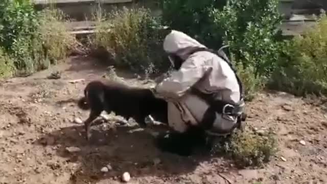 Rescue the dog from a 6-meter well