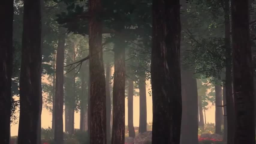 Beautiful relaxing music - meditation- sleep