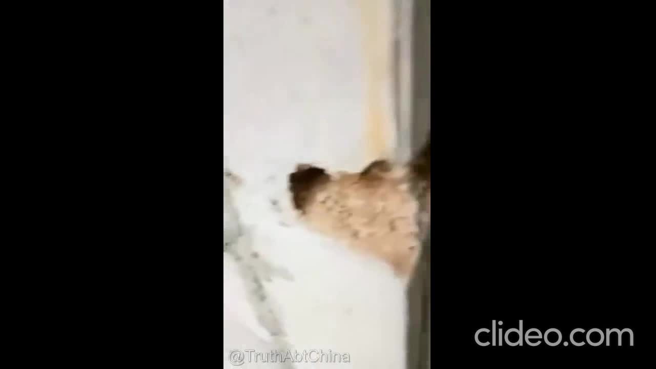 Check out Chinese Infastruture OMG!