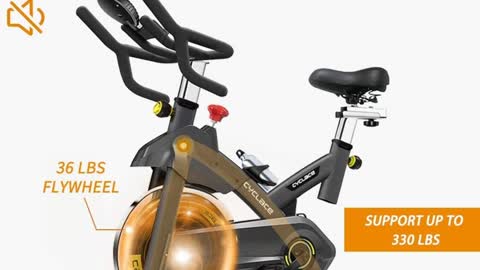 Cyclace Exercise Bike Stationary