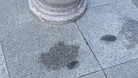 路上的石墩