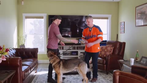 How to get your dog to leave your cat alone!!!!