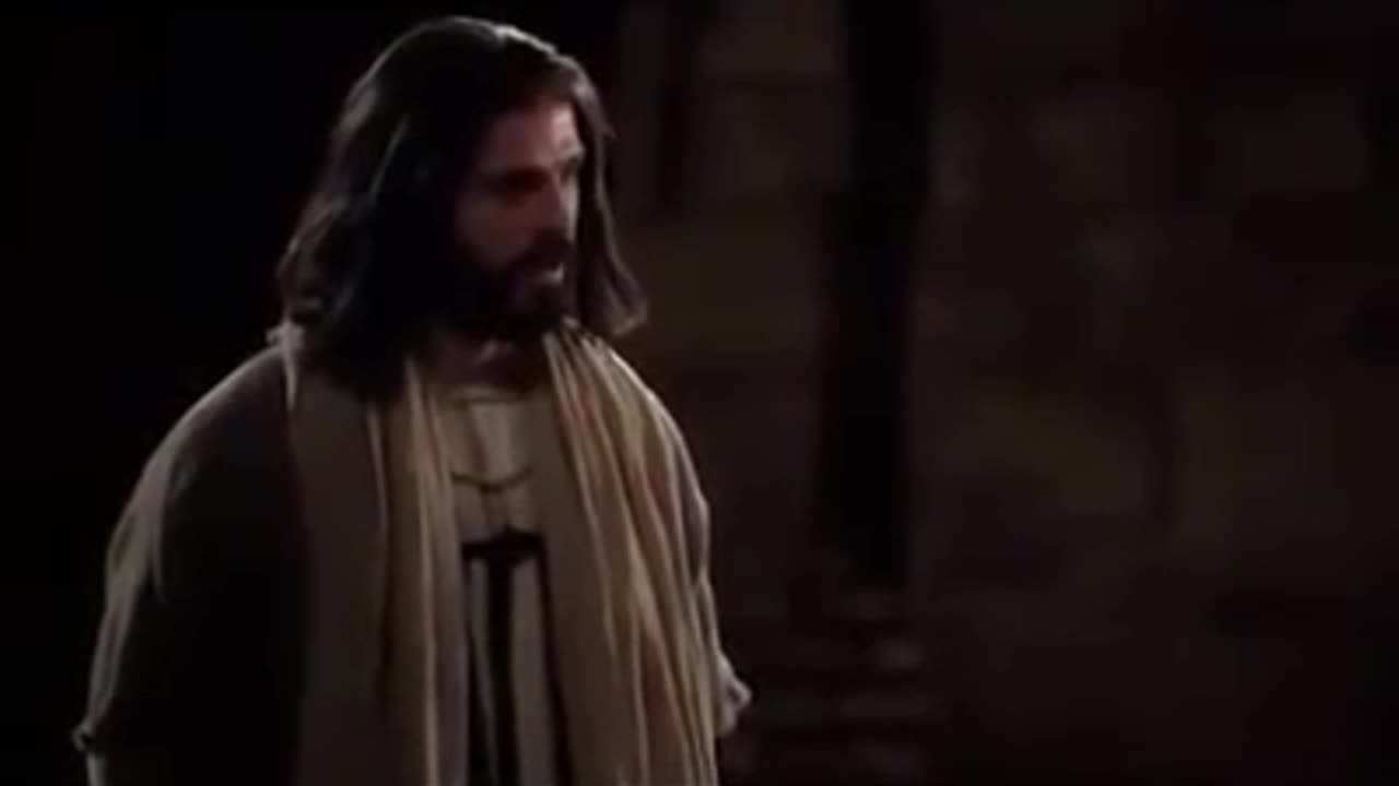 Nunca Reclame da Sua Vida - REFLEXÃO