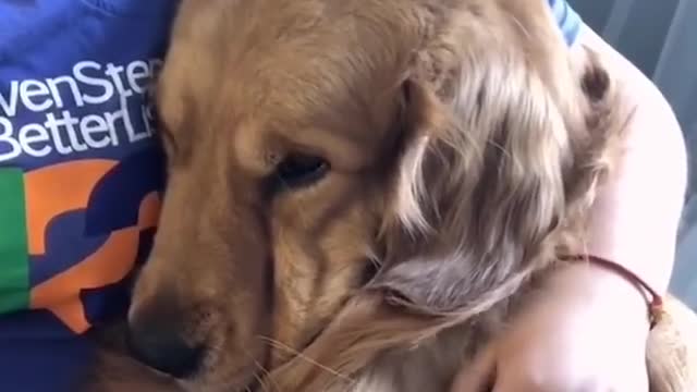 The best decision you could make... 🐶