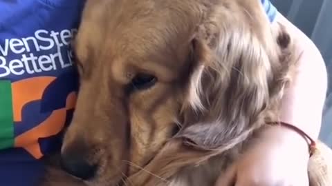 The best decision you could make... 🐶