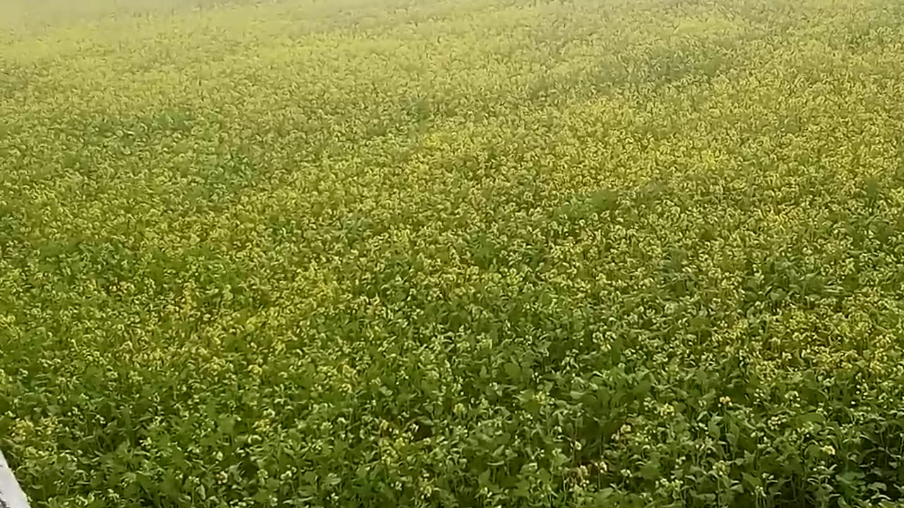 প্রকৃতি অপরুপ সুন্দর