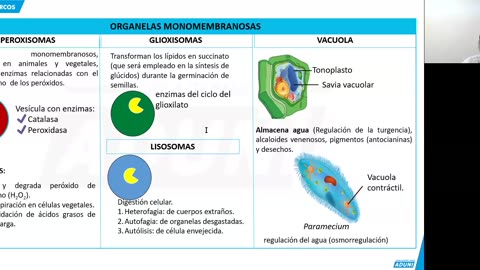 REPASO ADUNI 2024 | Semana 02 | Biología