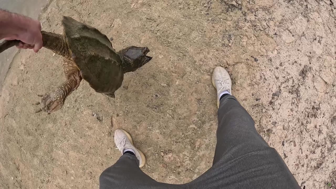 Creek fishing for MONSTERS IN HOUSTON TX!