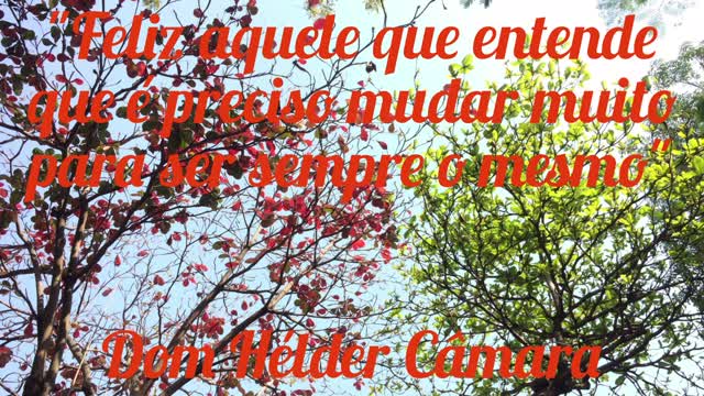 Feliz em mudar