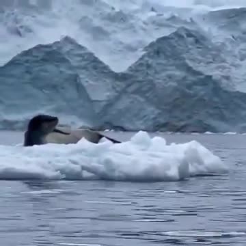 Oops Wrong One!!!!!!!!!