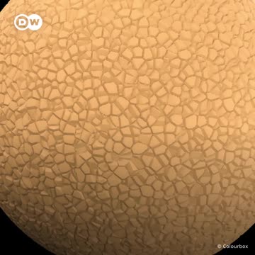 Así trabaja el cáncer