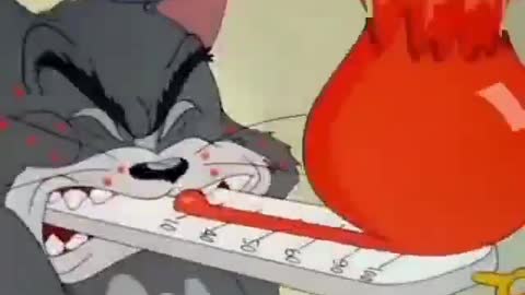 Tom & jerry cartoon video
