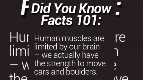 Sometimes You Shouldn't Make A Sequel. #lockdown Concerts and #riots . #news
