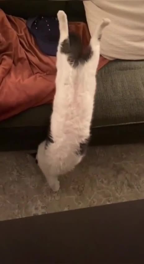 That’s a big stretch 👍👍😊😊