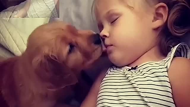 The dog is licking the child's cheek