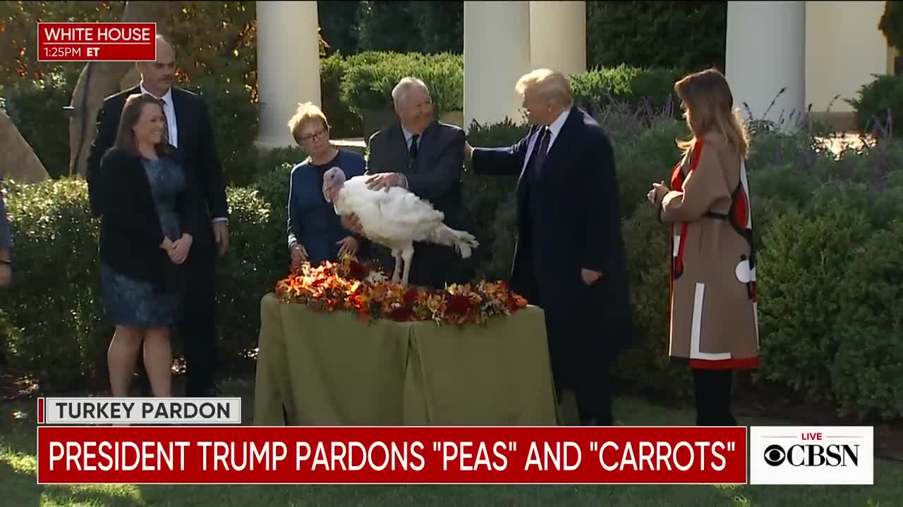 In 2018 President Trump gave a pardon to 'Peas'