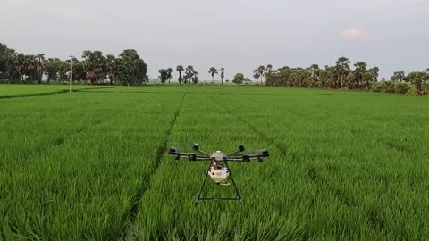 Agriculture Drone Spraying in Andhra Pradesh for Paddy Fields - Aries Solutions Pvt Ltd