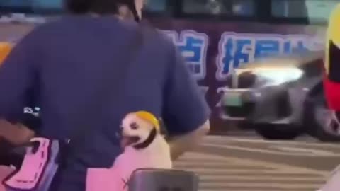 Friends don’t let friends ride without proper helmets