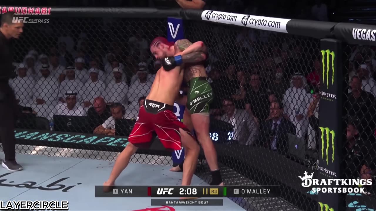 Yan vs O'Malley bout highlights