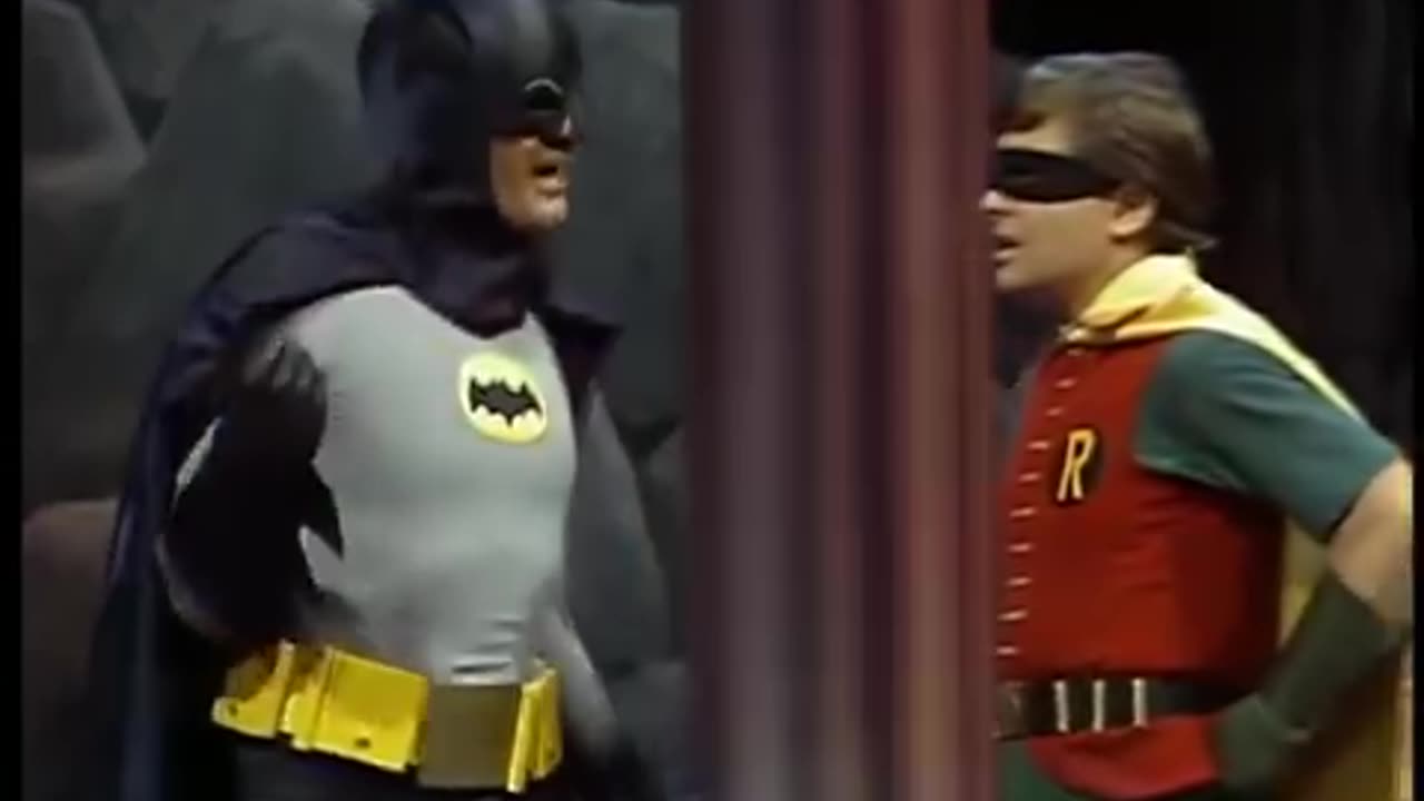 Funny Batman & Robin