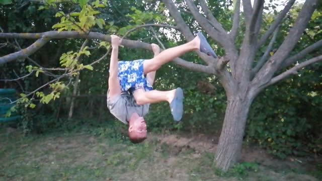 Lets workout on a tree