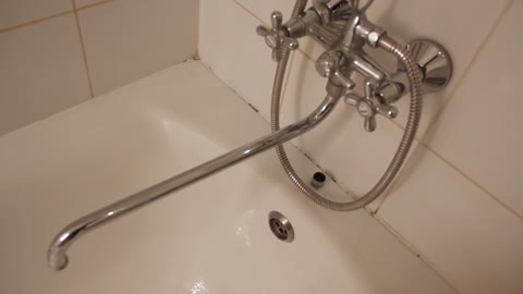 Faucet Full of Creepy Crawlies