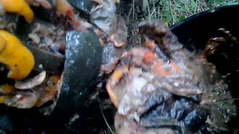 2017-10-19 - Le Crachoir-Compost - Youtube