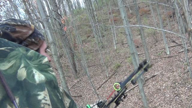 Archery Deer Hunting Pennsylvania October 2015