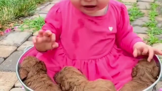 Cute little girl and puppies