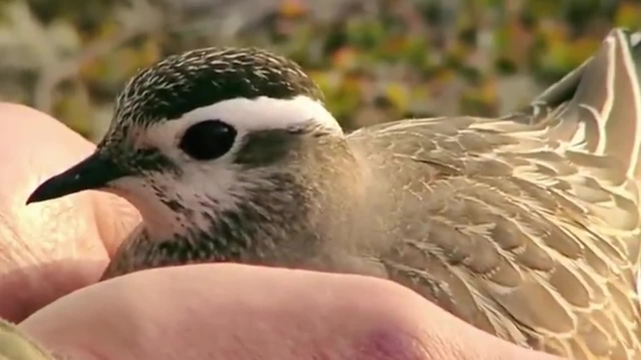 Get back from a different flight ✈ 🤪 🙄 😩 and