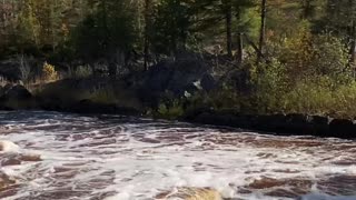 Fall Colors along a Rushing River