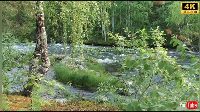 Forest Waterfall, Most Beautiful Waterfalls in the World Natural Beauty Waterfall .