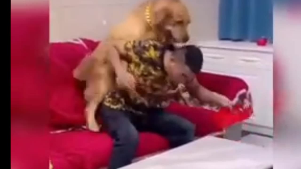 Try Not To Laugh😆 Best Funny Vedios Compilation😂😁😀