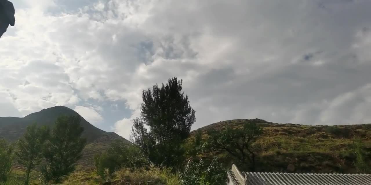 Green mountains, green water and big trees under the white clouds