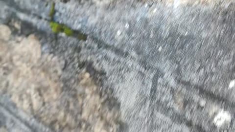 Bricks - mottled, potholed & blown out.