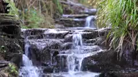 8 Hours of Waterfall River Relaxation Meditation Birdsong