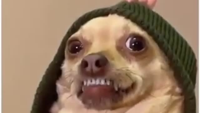 The Only Video You'll Need For The Rest Of Your Life