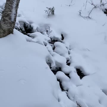 Still spots where you can fall in